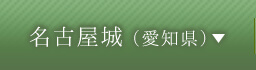 名古屋城（愛知県）