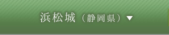 浜松城（静岡県）