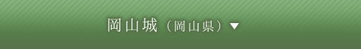 岡山城（岡山県）