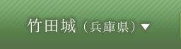 竹田城（兵庫県）