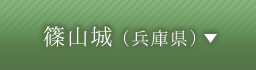 篠山城（兵庫県）