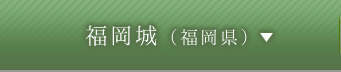 福岡城（福岡県）