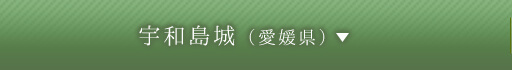 宇和島城（愛媛県）