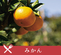 みかん