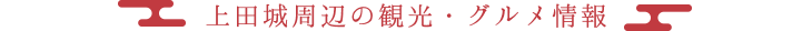 上田城周辺の観光・グルメ情報