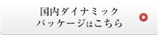 国内ダイナミックパッケージはこちら