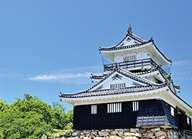 浜松城