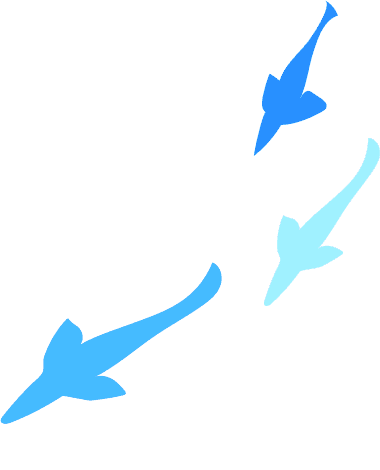 泳いでいる魚のイラスト