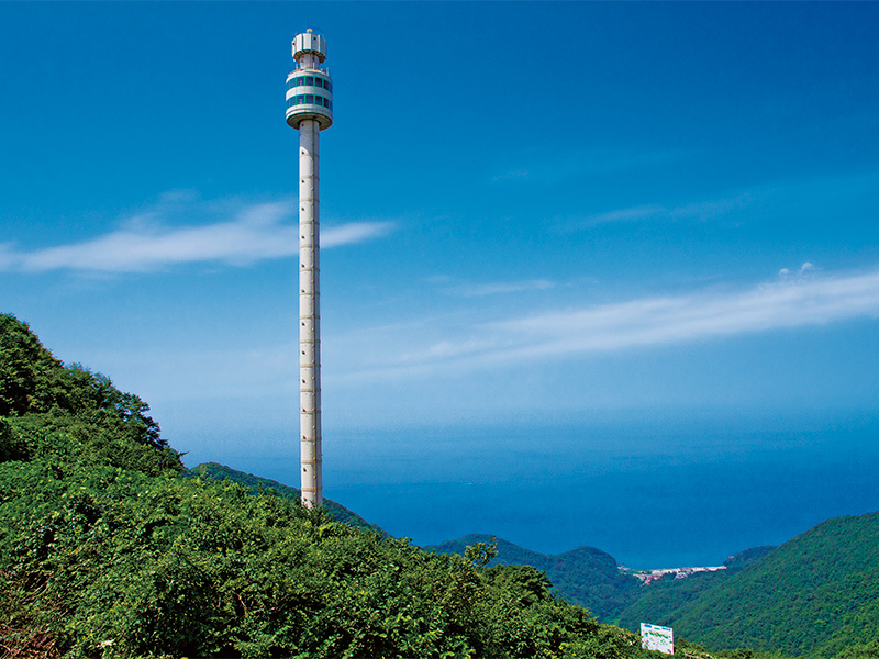 弥彦山パノラマタワー