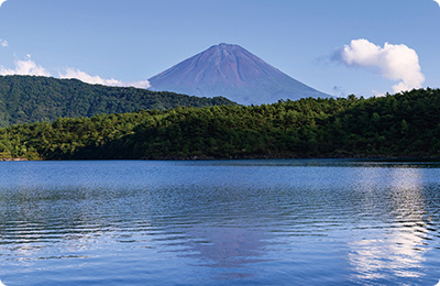 西湖の写真