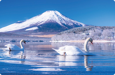 山中湖の写真
