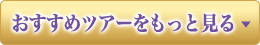 もっとおすすめツアーを見る