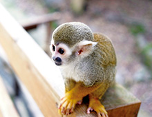 長崎バイオパーク