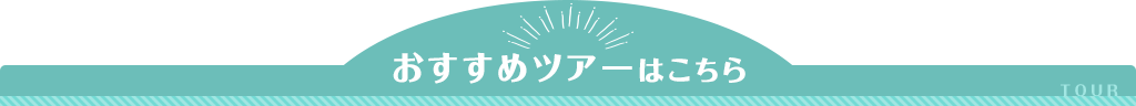 おすすめツアーはこちら
