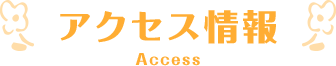 アクセス情報