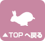 トップへ戻る