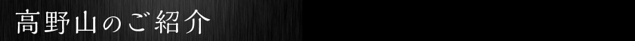 高野山のご紹介
