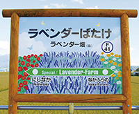 限定のラベンダー畑駅