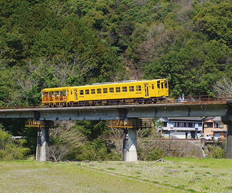 しまんトロッコ