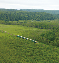 くしろ湿原ノロッコ号