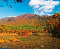 観音沼森林公園