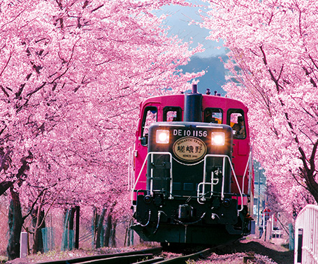 嵯峨野 トロッコ列車