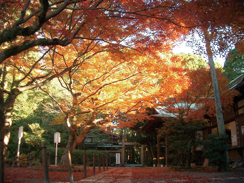 鎌倉