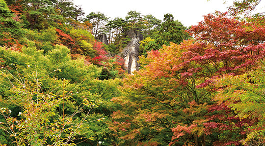 きみまち阪公園