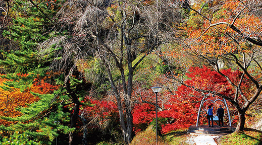 きみまち阪公園
