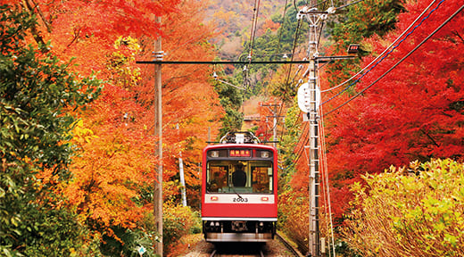 箱根登山鉄道