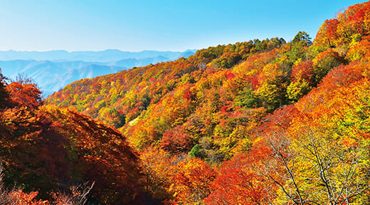 日塩もみじライン