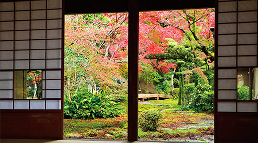 縁側からの風景