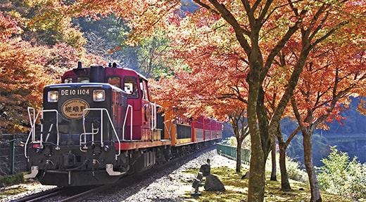 嵯峨野トロッコ