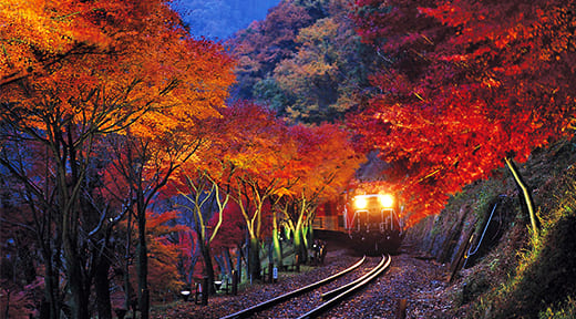 嵯峨野トロッコ