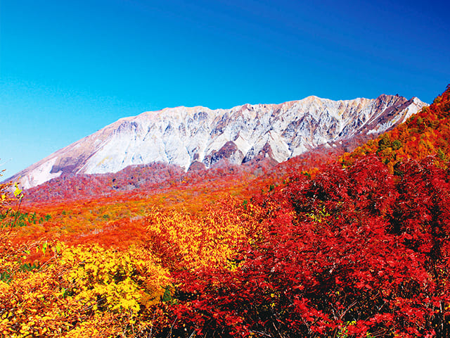 中国・四国エリア