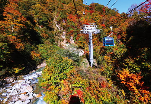 苗場ドラゴンドラ