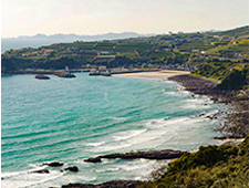 上り浜・汐見の段々畑