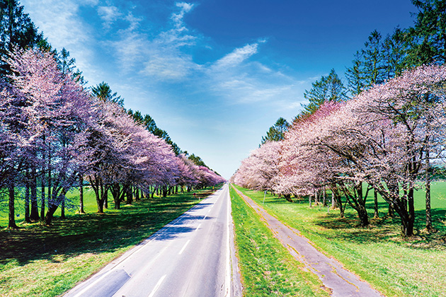 静内二十間道路