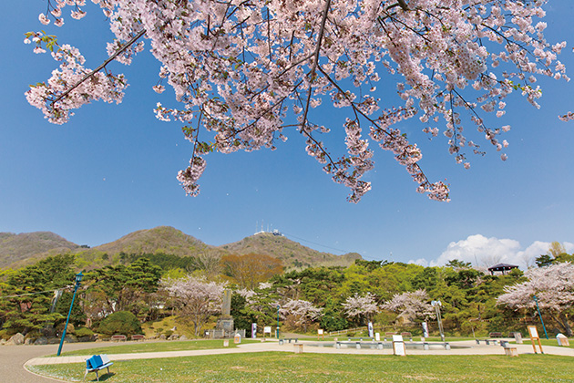 函館公園