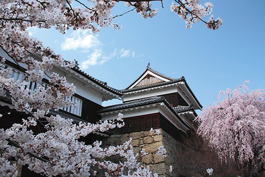 上田城址公園