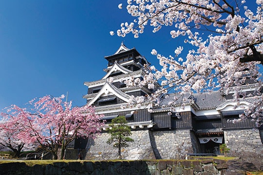 熊本城