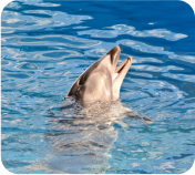 仙台うみの杜水族館