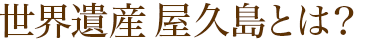 世界遺産 屋久島とは？