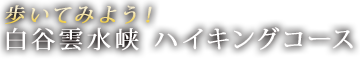 歩いてみよう！ 白谷雲水峡 ハイキングコース