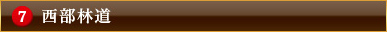 西部林道
