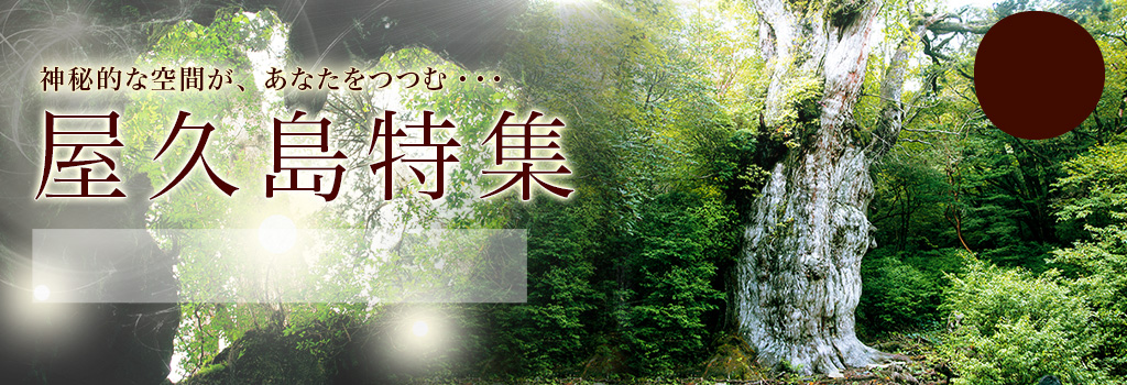 東海発  屋久島ツアー・旅行特集