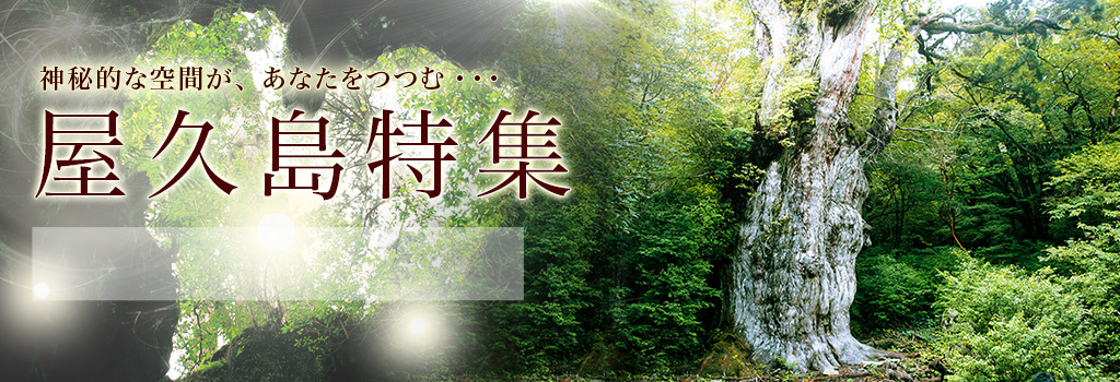 屋久島ツアー・旅行特集