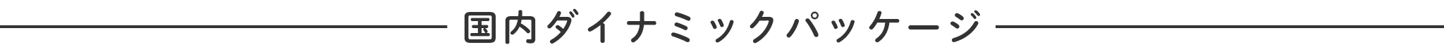 国内ダイナミックパッケージ