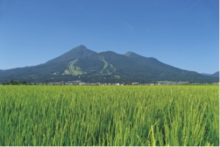 第2のふるさと暮らし