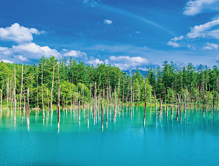 北海道のおすすめ観光情報